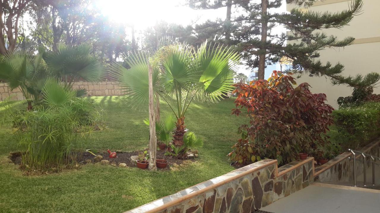 Lovely 1-Bedroom Apartment With A Big Terrace, Las Americas, Tenerife Арона Екстериор снимка