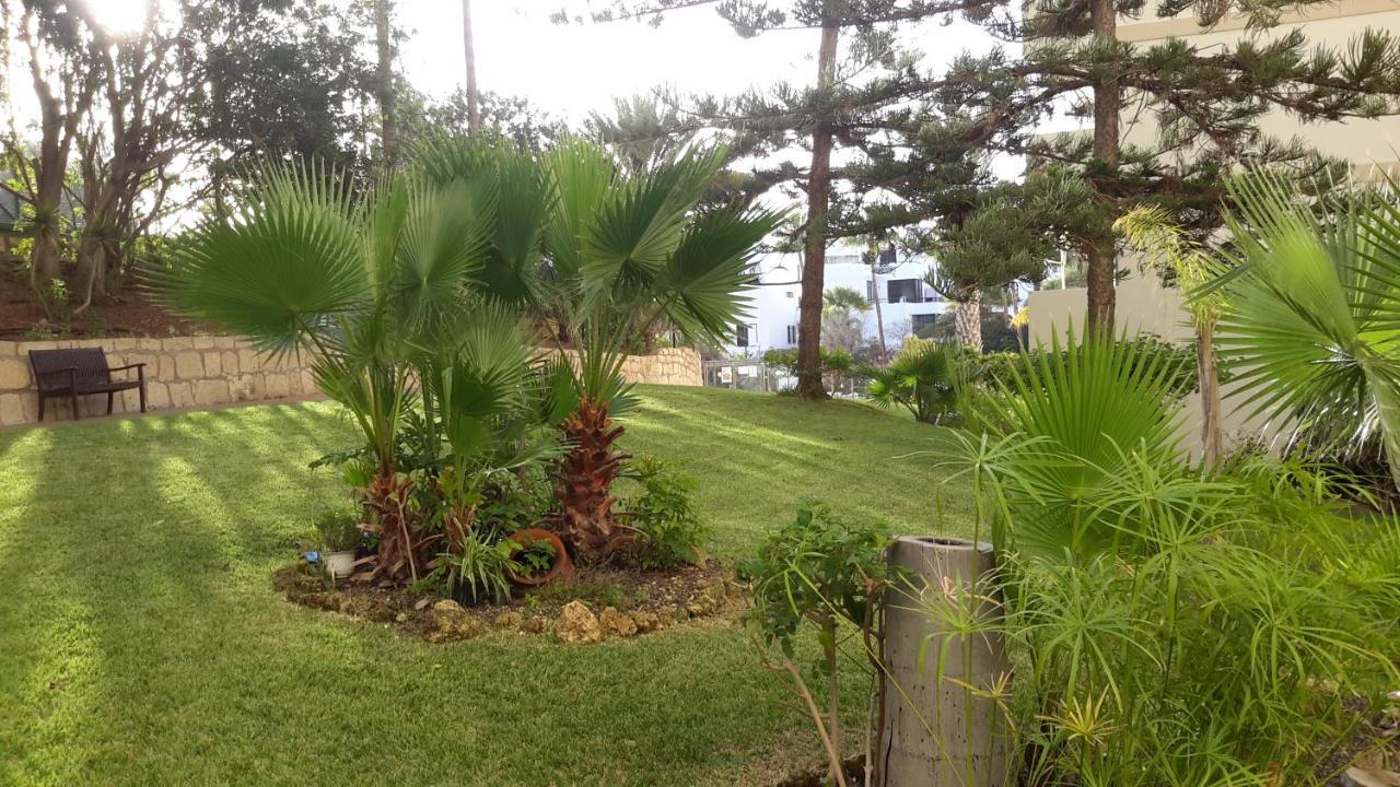 Lovely 1-Bedroom Apartment With A Big Terrace, Las Americas, Tenerife Арона Екстериор снимка